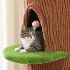 Chat allongé sur le perchoir de l'arbre à Chat Original