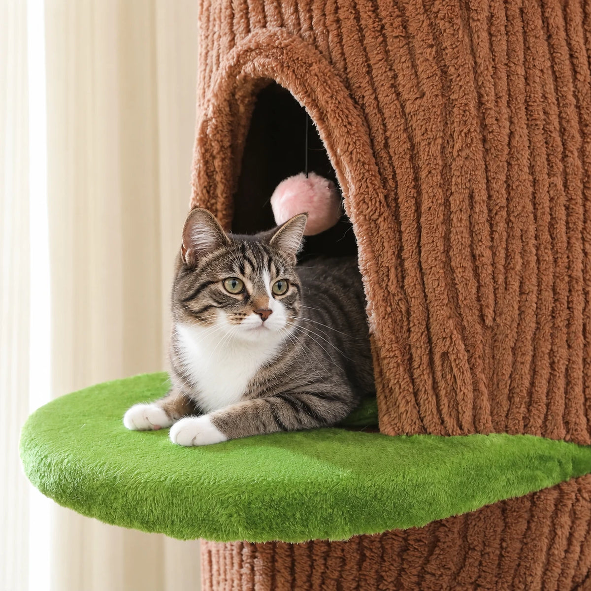 Chat allongé sur le perchoir de l'arbre à Chat Original