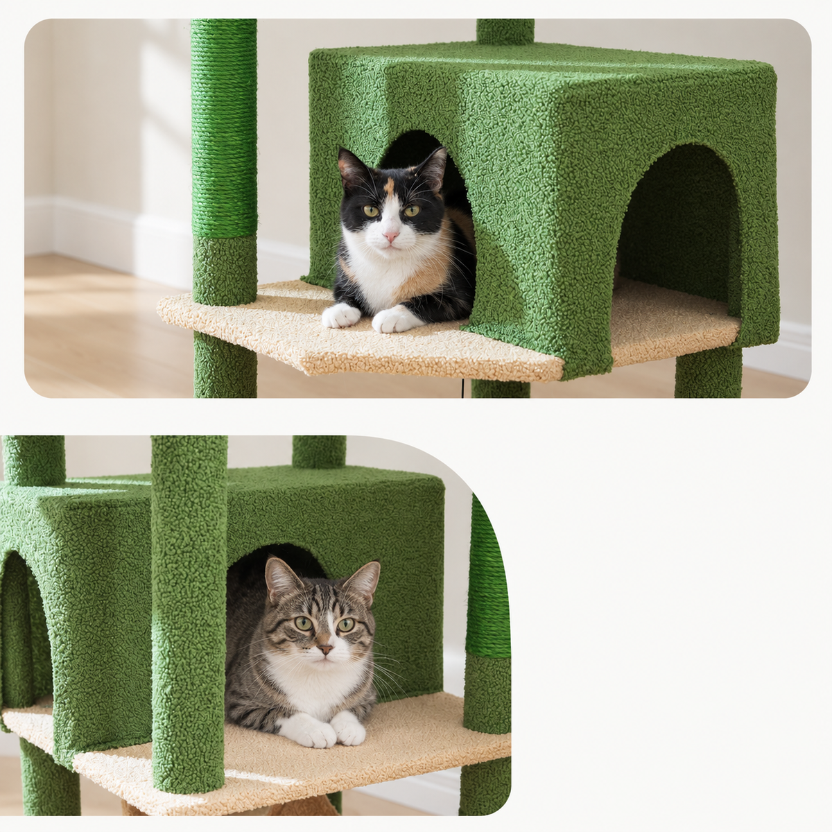 Chat installé dans la niche de l'arbre à Chat 190 cm