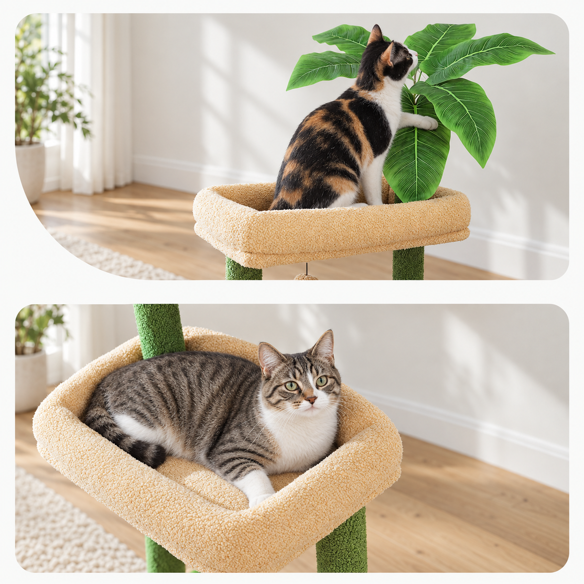 Chat détendu dans le hamac de l'arbre à Chat 190 cm