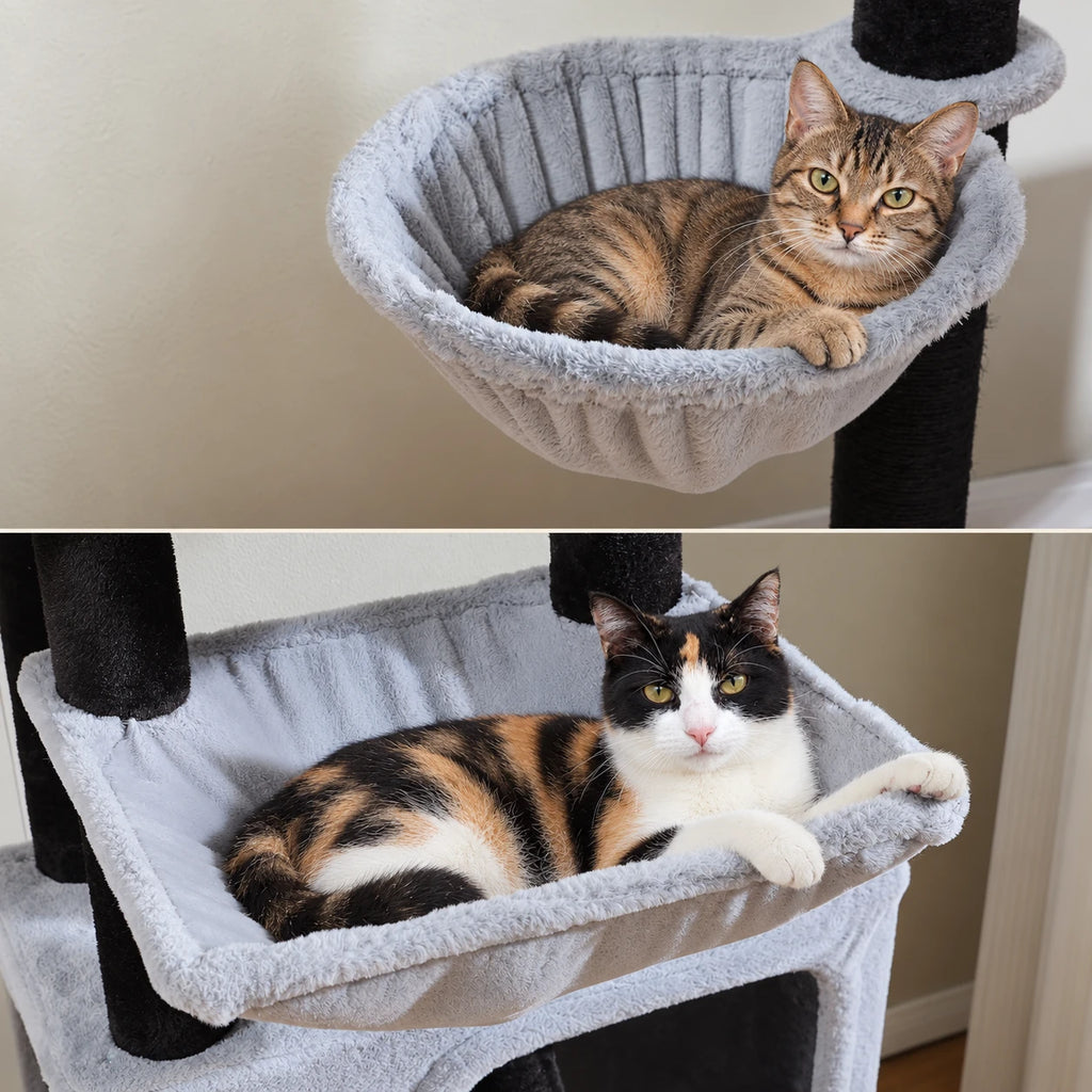 Chat installé dans le panier de l'arbre à Chat XXL