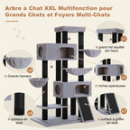 Aménagements XXL de l'l'arbre à Chat XXL