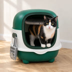 Chat sortant de la maison de toilette chat verte
