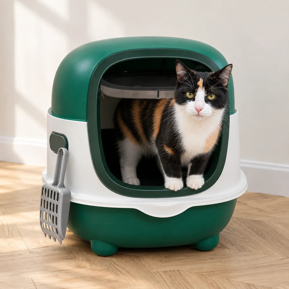 Chat sortant de la maison de toilette chat verte