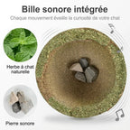 Pierre sonore intégrée à la boule herbe à chat