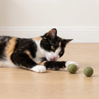 Chat jouant avec une balle d'herbe à chat sur le parquet