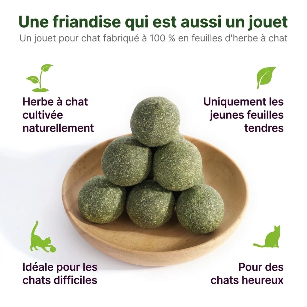 Jouet herbe à chat 100 % naturel : jeunes feuilles tendres uniquement