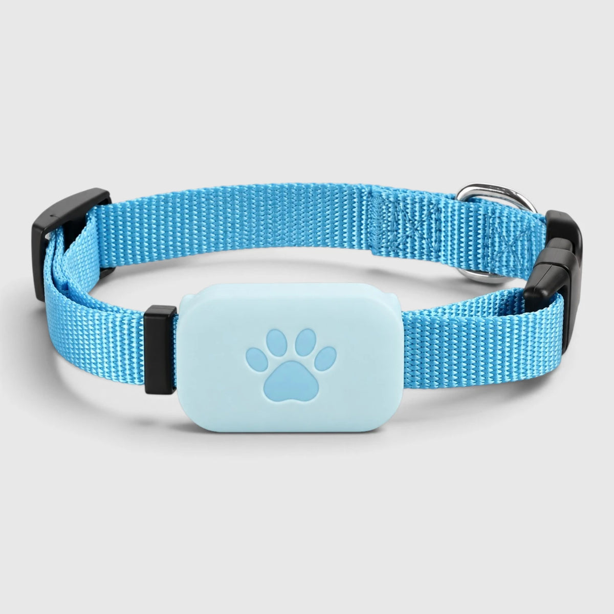 Collier traceur chat bleu