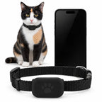 Chat à côté d'un smartphone et du collier traceur noir