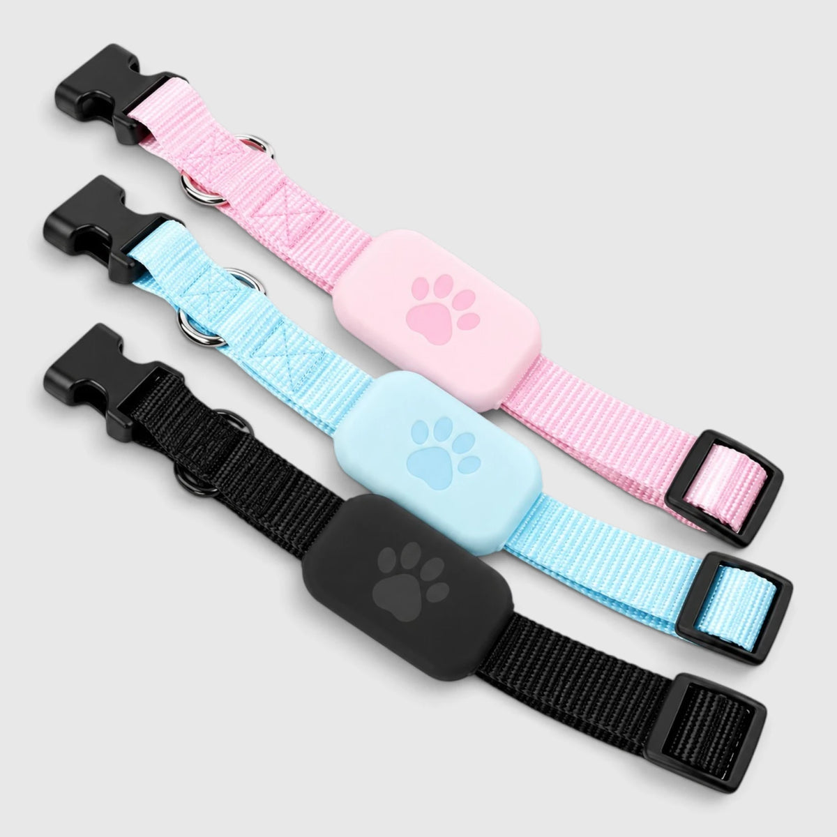 Collier traceur chat en rose, bleu et noir