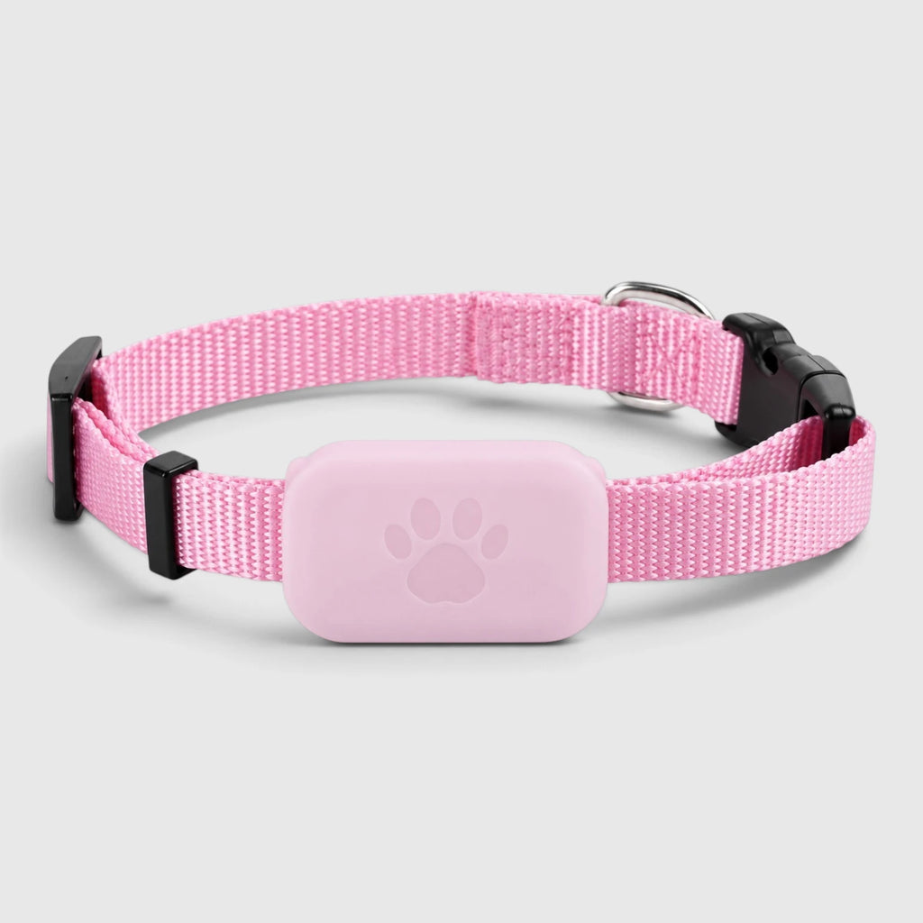 Collier traceur chat rose