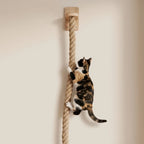 Chat faisant ses griffes sur la corde du griffoir mural