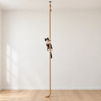 Chat grimpant sur la corde pour chat suspendue au plafond
