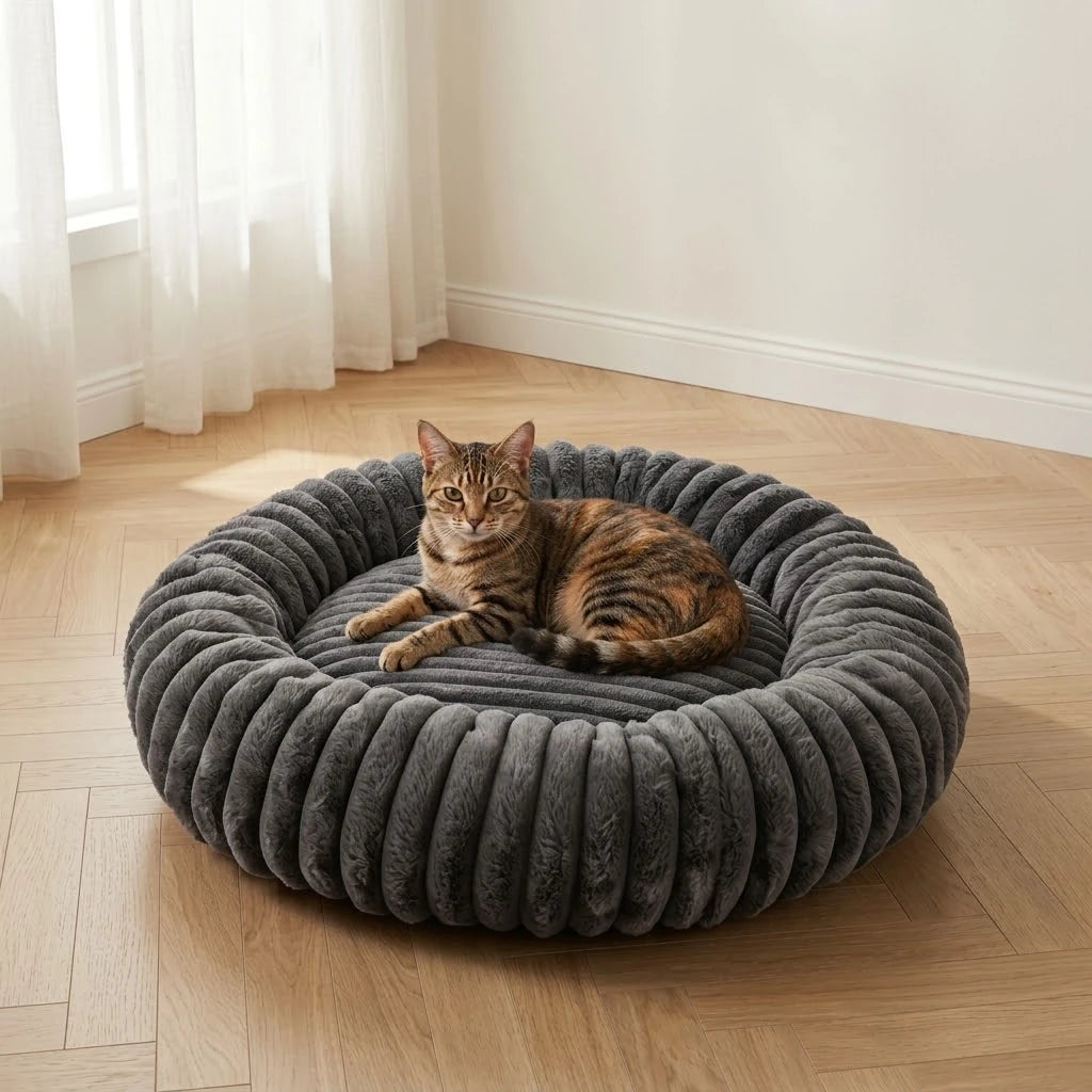Chat couché dans le panier rond gris foncé