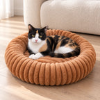 Chat tricolore lové dans le panier rond marron devant un canapé