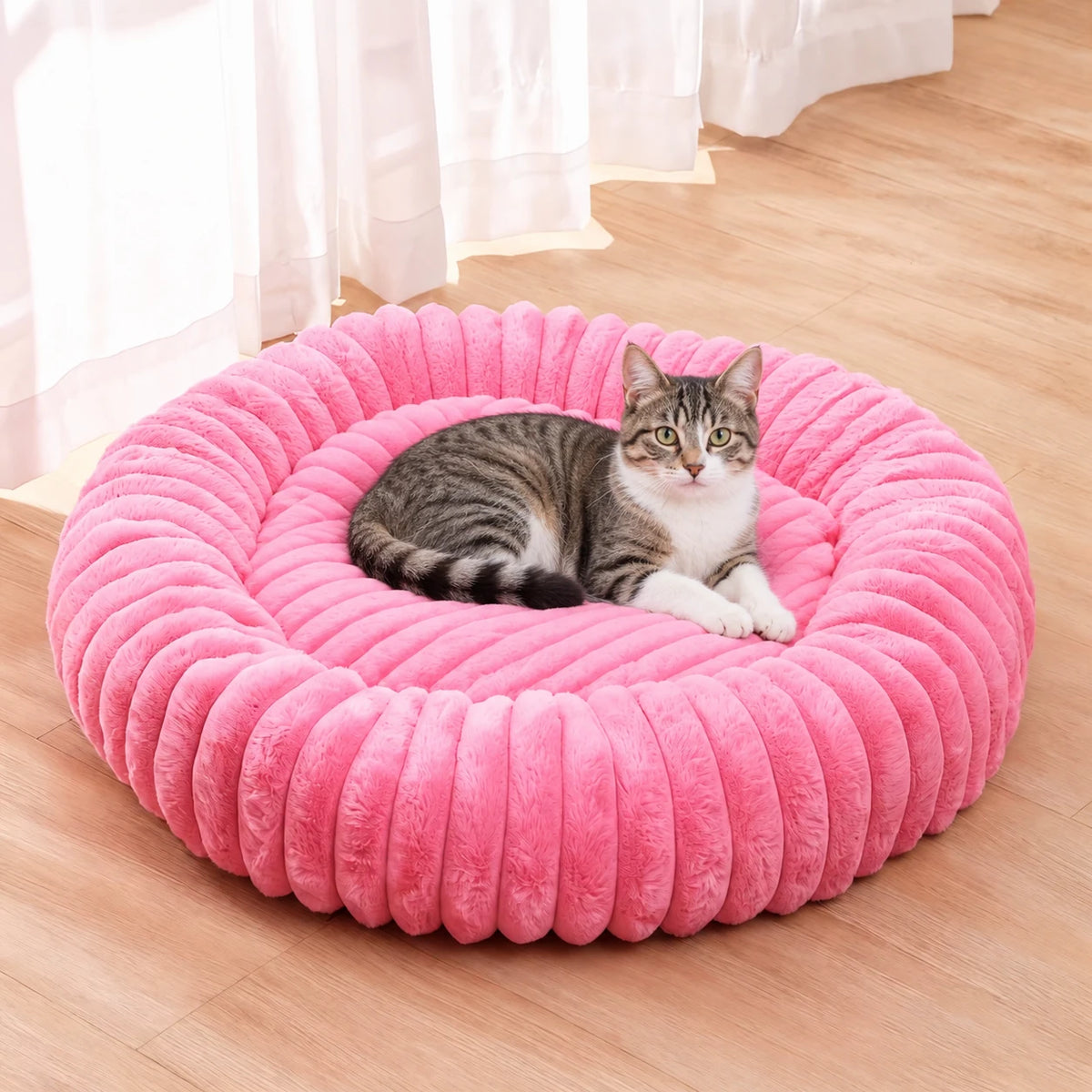 Chat installé dans le panier rond rose sur un parquet