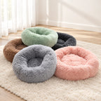 Coussins anti stress chat de plusieurs coloris posés sur un tapis