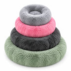 Les quatre tailles du coussin anti stress chat empilées, du gris au vert