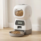 Distributeur de croquettes programmable rempli de croquettes