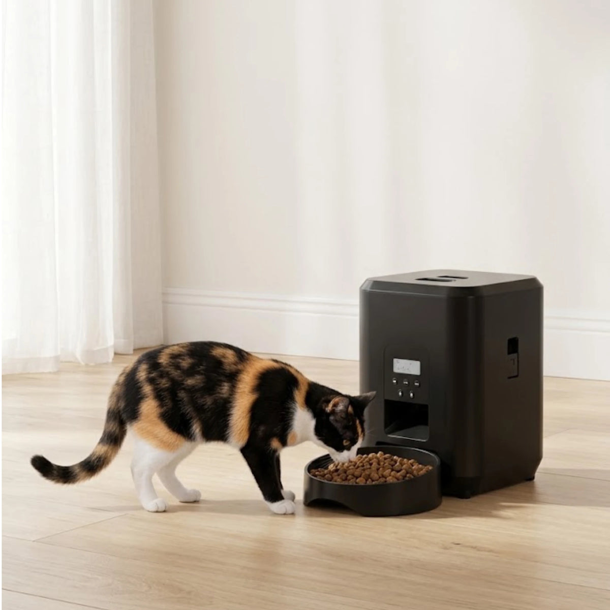 Chat mangeant devant le distributeur automatique de croquettes noir
