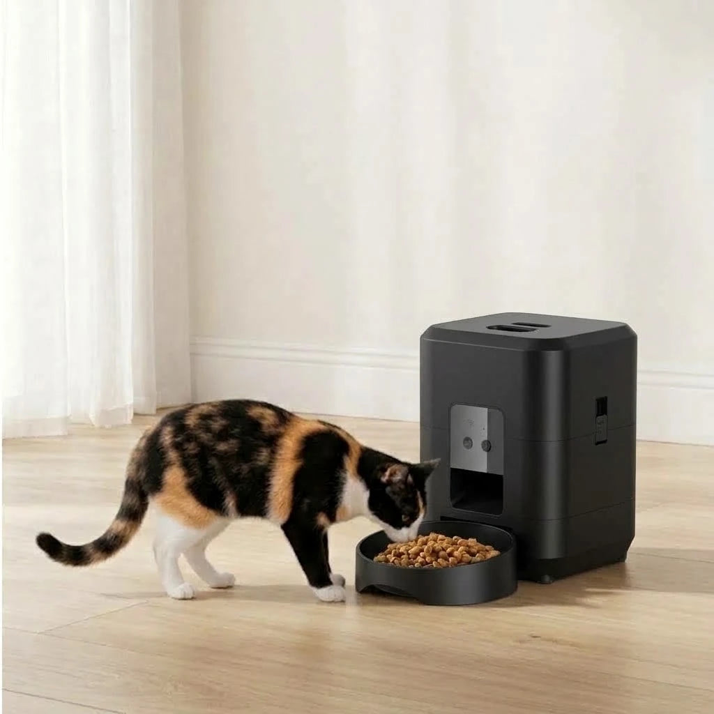 Chat mangeant devant la gamelle automatique connectée