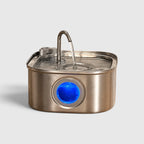 Fontaine à eau chat inox de 3,2 L avec fenêtre de niveau bleue