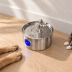 Distributeur d'eau chat en inox près de pattes de chien et de chat