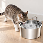 Chat buvant à la fontaine à eau chat automatique en inox