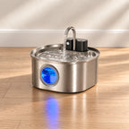 Fontaine à eau chat sur batterie posée sur un parquet, fenêtre de niveau bleue
