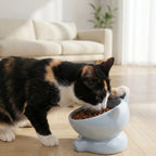 Chat mangeant dans la gamelle chat céramique bleue inclinée