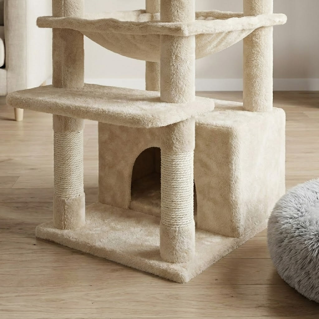 Plateformes en escalier de l'l'arbre à Chat Adulte