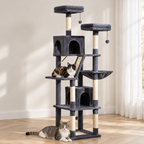 Grand Arbre à Chat installé dans un salon lumineux