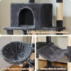 Les deux niches de l'l'arbre à Chat Double Niche