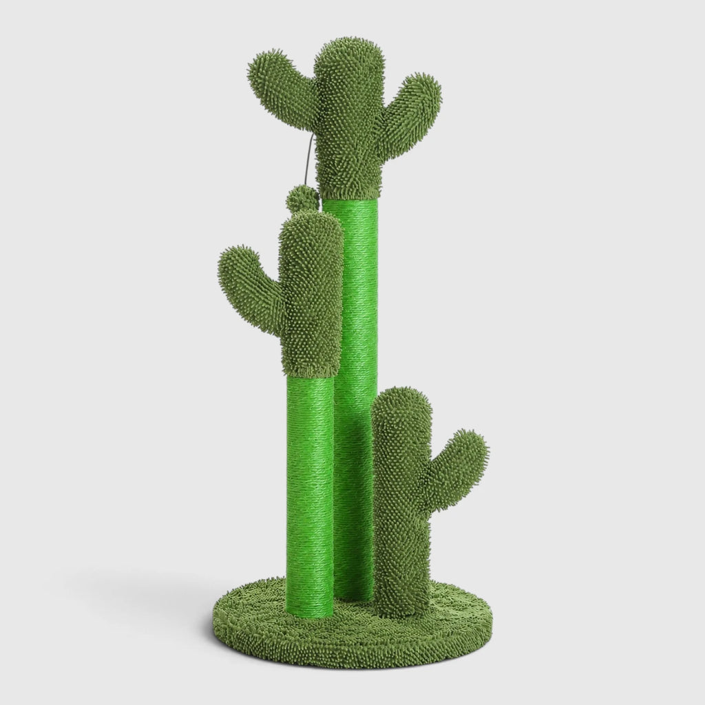 Griffoir Chat Cactus