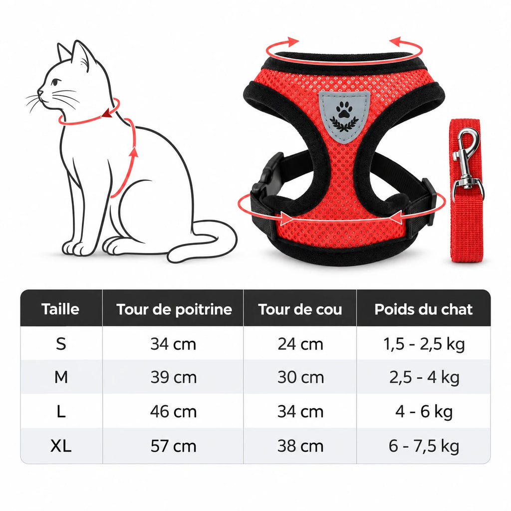 Tableau des tailles du harnais chat : tour de poitrine, tour de cou et poids du chat
