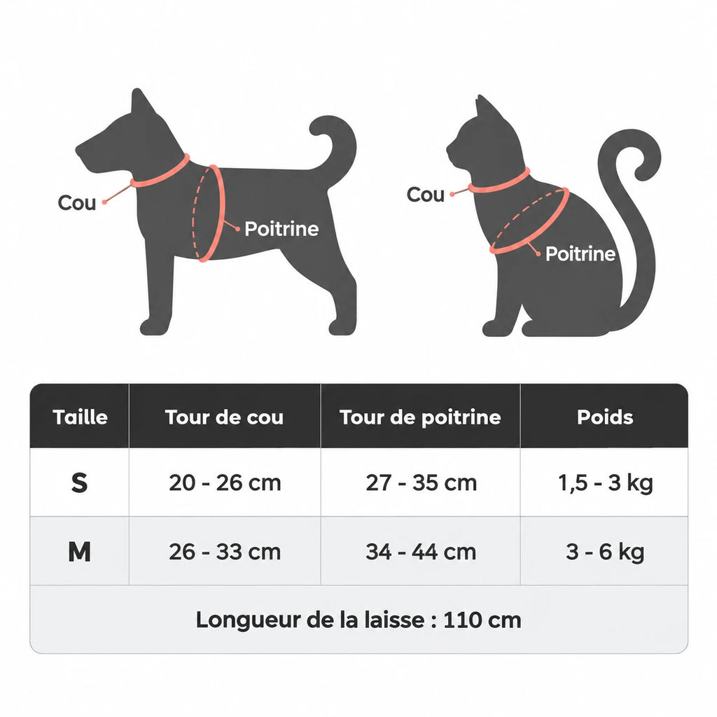 Tableau des tailles du harnais chaton : tour de cou, tour de poitrine, poids et laisse de 110 cm