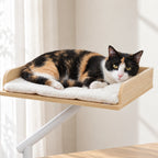 Chat allongé sur le coussin en fourrure du lit de bureau