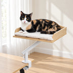 Lit de bureau pour chat fixé au bord d'une table par sa pince