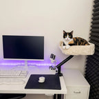 Chat installé dans le panier chat bureau à côté d'un écran d'ordinateur