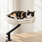 Chat allongé dans le panier chat bureau près d'une fenêtre