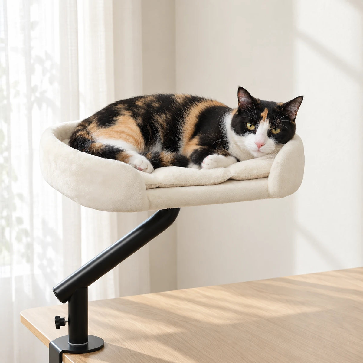 Chat allongé dans le panier chat bureau près d'une fenêtre