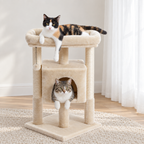 Chats sur le petit arbre à chat beige, l'un sur le perchoir, l'autre dans la niche