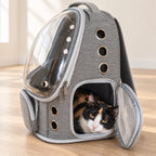 Chat dans le sac à dos transport chat gris, porte latérale ouverte