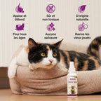 Spray herbe à chat : apaise, non toxique, d'origine naturelle, sans salissure